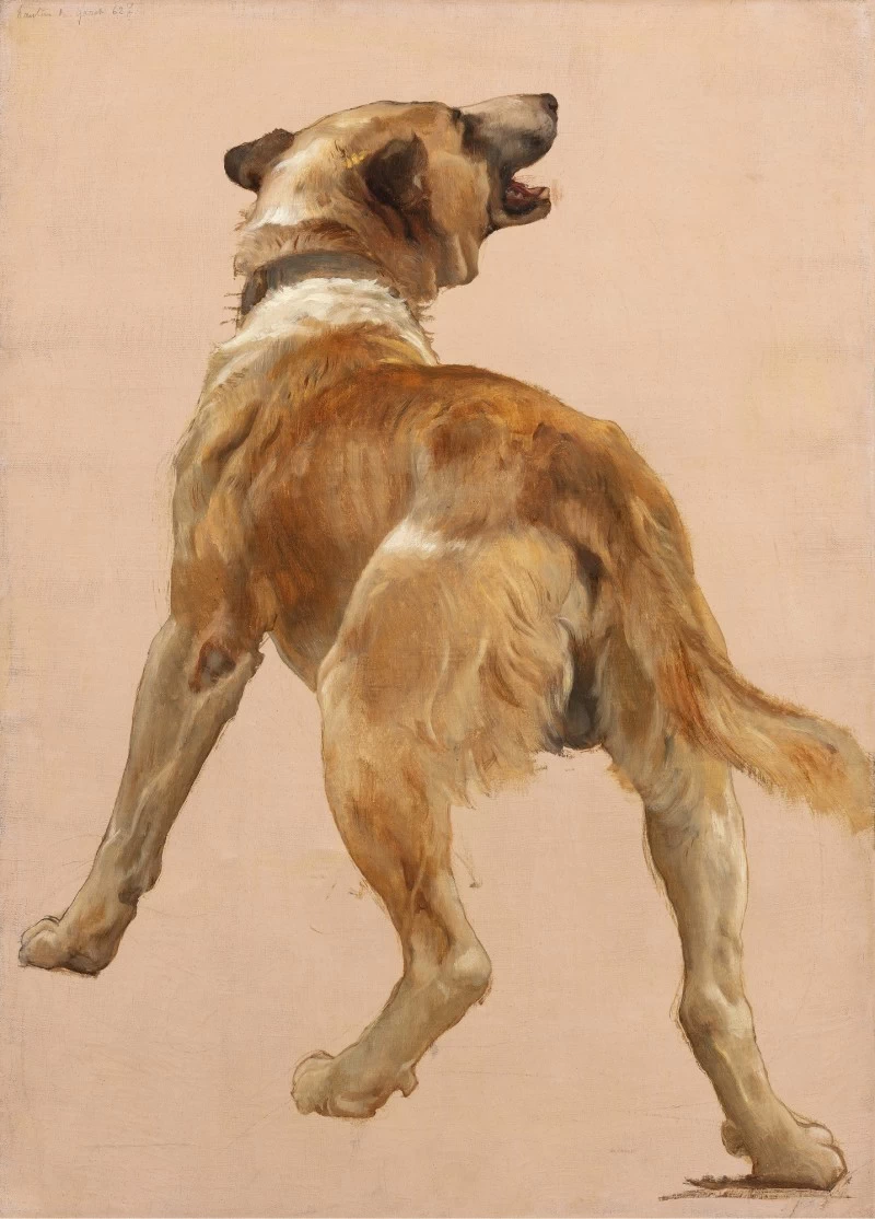 Studio di cane - Cleveland Museum of Art